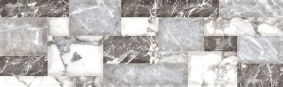 Galápagos gris | Samboro