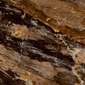 Petra Marrón | Samboro