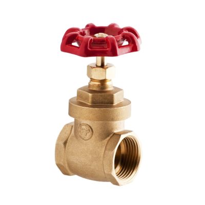 FP accesorio valvula de compuerta 1″ 01C110