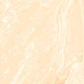 542 Beige | Samboro